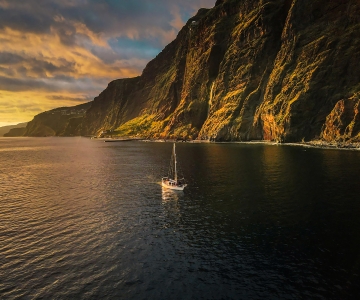 Funchal: Tour in barca a vela al tramonto con osservazione di delfini e balene