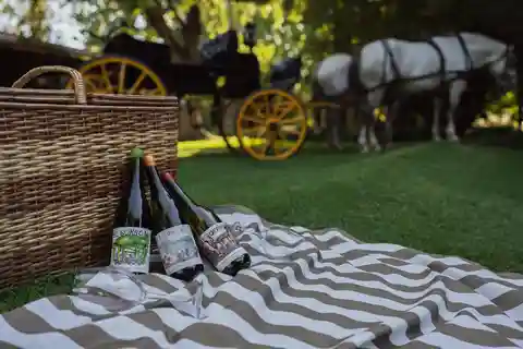 Zuccardi's Santa Julia Bike Tour + Prova de vinhos + Almoço completo