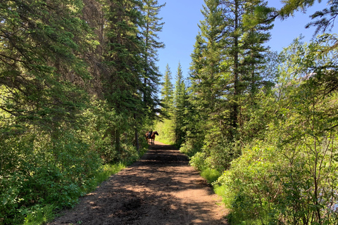 Visite privée - Le meilleur du parc national de Banff