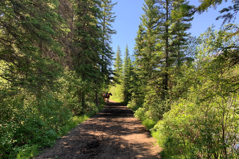 Private Tour - Best of Banff National Park