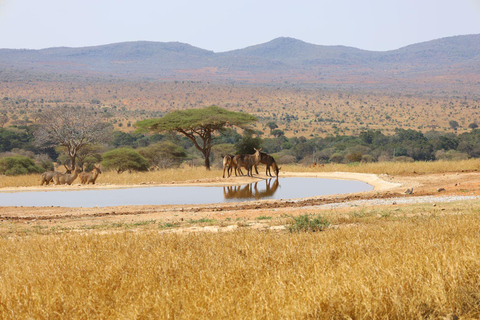 Safari de 2 jours dans les parcs de Tsavo Est et Tsavo Ouest