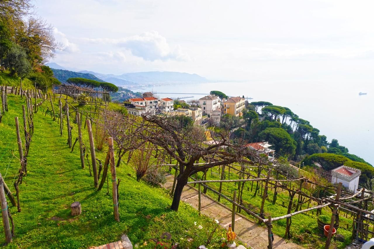 Weinverkostung im Cilento mit professionellem Sommelier.
