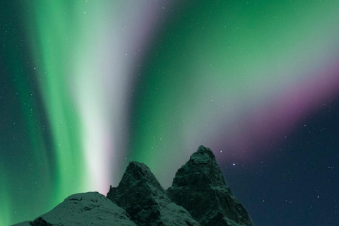 Tromso Persecución en Gran Autobús de la Aurora Boreal con Fotos Gratis