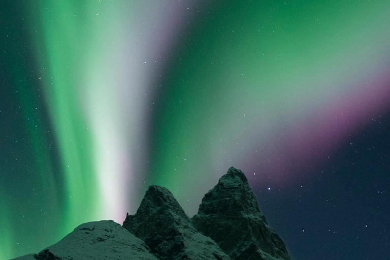 Tromsö: Nordlicht-Verfolgungsjagd im großen Bus mit kostenlosen Fotos