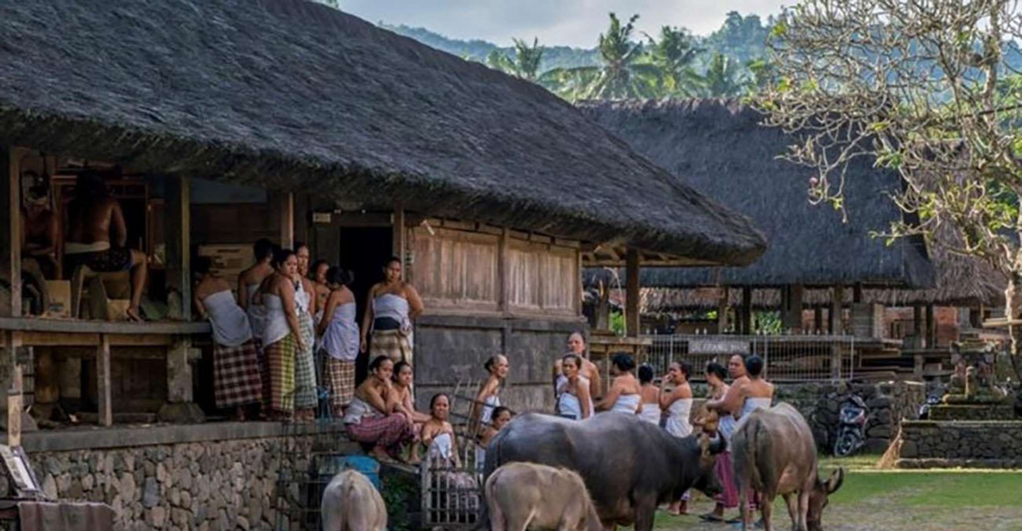 Bali, Tirta Gangga, Taman Ujung et Tenganan Village Tour - Hizvo