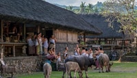 Bali, Tirta Gangga, Taman Ujung und Tenganan Village Tour - Hizvo