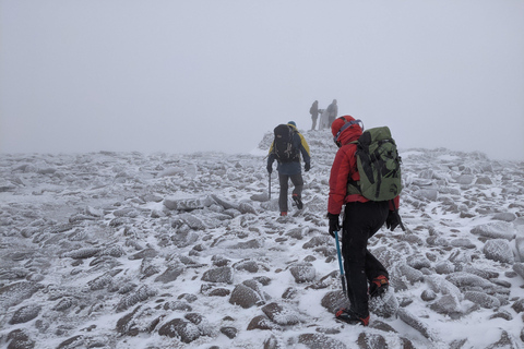 Cairngorms: aventura guiada de senderismo invernal