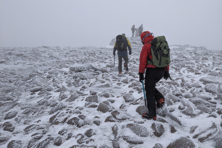 Cairngorms: aventura guiada de senderismo invernal
