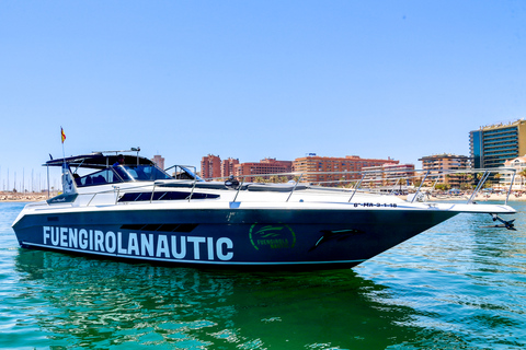 Fuengirola: Avistamiento de Delfines en Yate con Aperitivos y BebidasFuengirola: tour en yate con delfines, aperitivos y bebidas