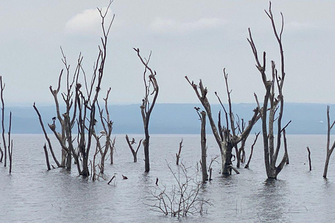 Nairobi: Lake Nakuru National Park and Lake Naivasha Tour