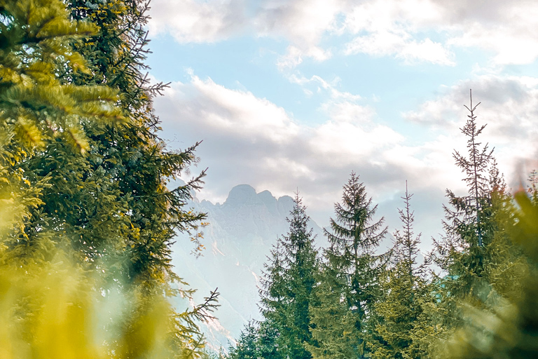 Albanische Alpen : Komani See , Valbona , Thethi