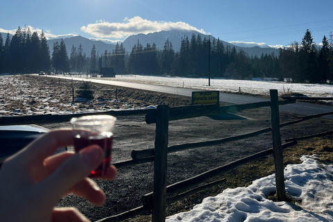 Krakow: Zakopane & Chochołów Spring Pools with Local Tasting Thermal pools with Hotel Pickup
