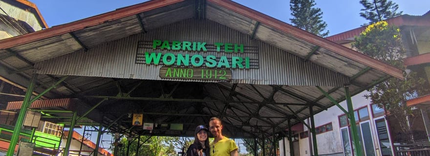 Visite privée Malang/Surabaya : Plantation de thé Wonosari