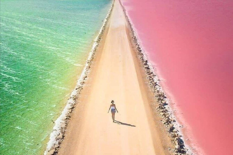 Wycieczka do Ría Lagartos, Coloradas i Playa CancúnitoMerida: Wycieczka na plażę Ria Lagartos, Coloradas i Cancunito