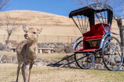 Nara: Cultural Heritage Tour by Rickshaw 70min Mt. Wakakusa and the famous deers of Nara