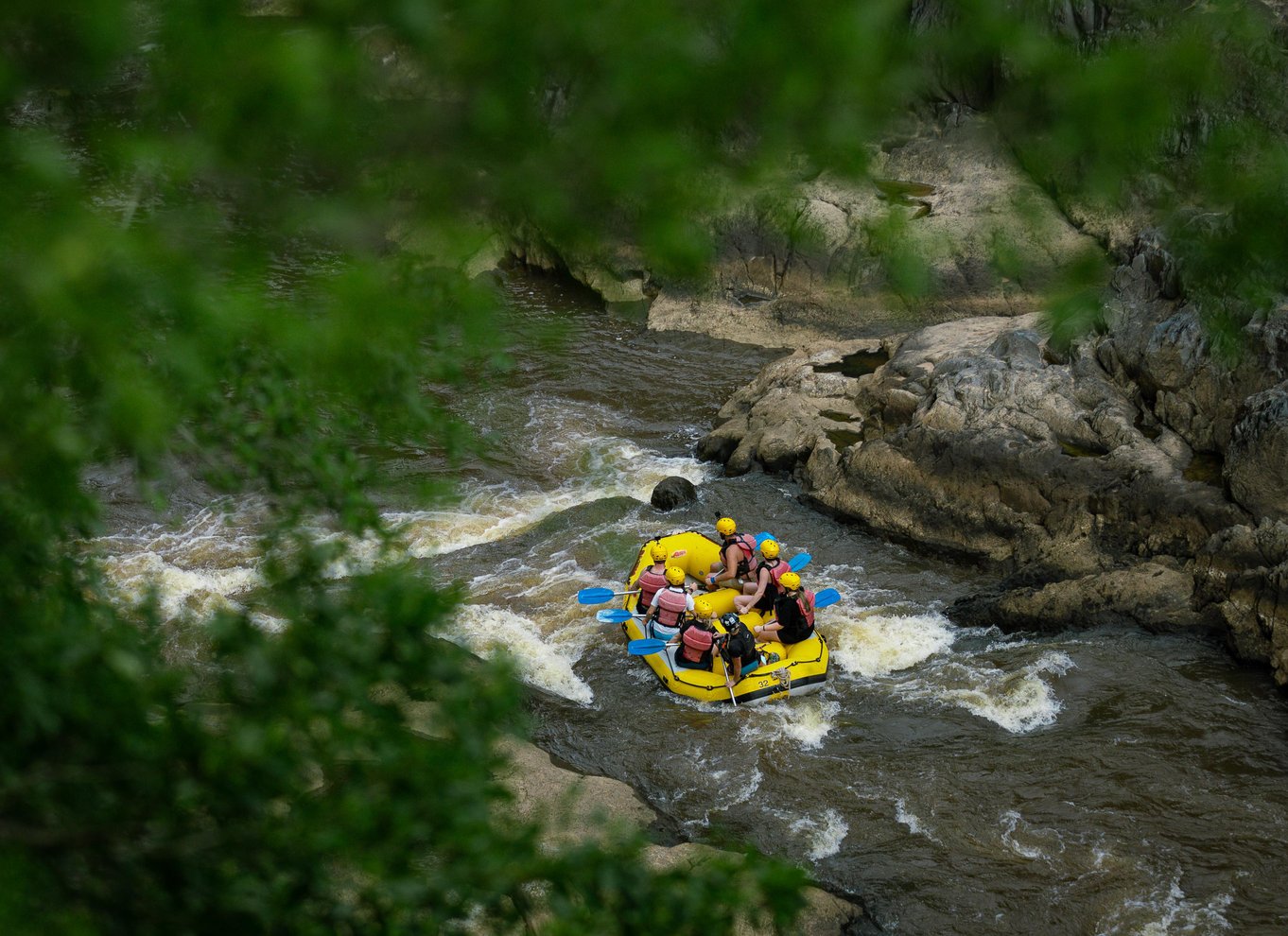 Barron Gorge: Halvdags Barron River White-Water Rafting