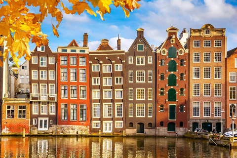 From Amsterdam: Rotterdam, The Hague & Delft Private Tour Day Trip with Chinese-Speaking Driver-Guide