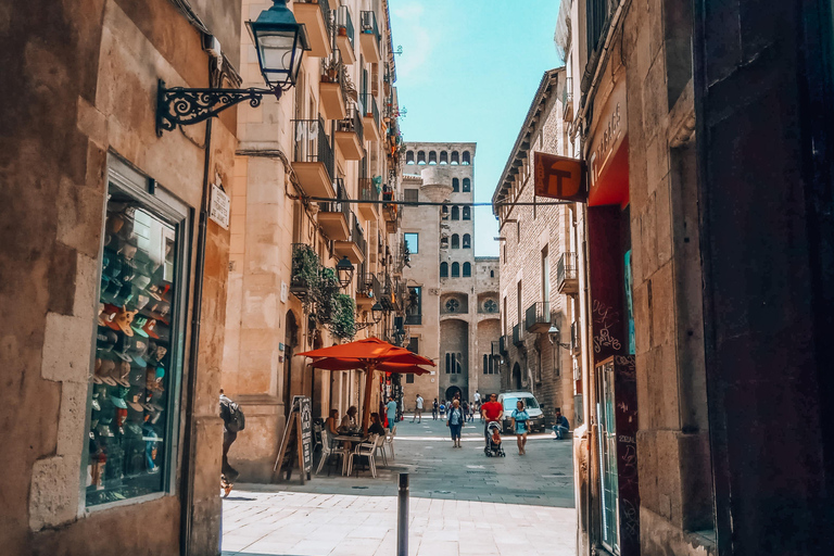 Barcelona: Introduction to the Gothic Quarter Walking Tour Private Tour (Max 20 Adults)