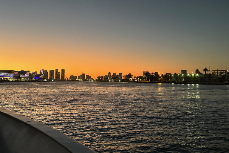 Crociera serale al tramonto a Miami Case dei milionari + Luci dello skylineCrociera al tramonto a Miami: case da milionari + luci dello skyline