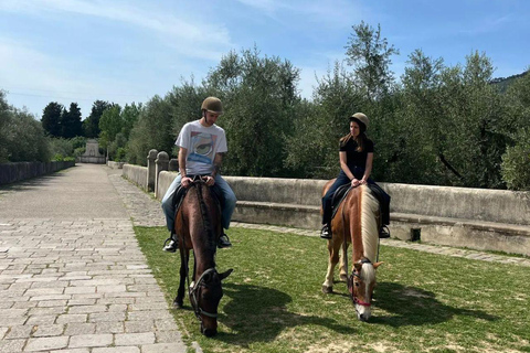 Certosa di Calci: Horseback Riding Experience for Beginners in Nature Horseback ride with aperitif
