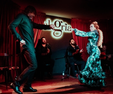 Malaga: pokaz flamenco w lokalu Alegría