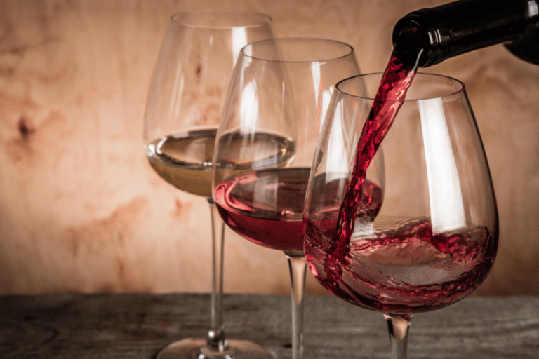 Ensenada: Valle de Guadalupe Wine Tasting Tour