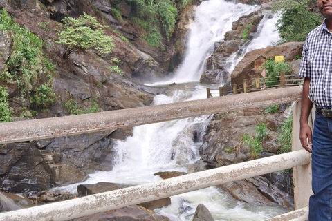 Sri Lanka Private Tour: Abenteuer, Natur, Kultur und mehr!