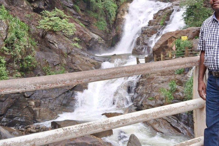 Sri Lanka Private Tour: Abenteuer, Natur, Kultur und mehr!