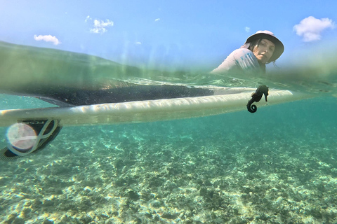 Waikiki: Surf-Unterricht Einfacher 60-Minuten-Unterricht ohne Gedränge!