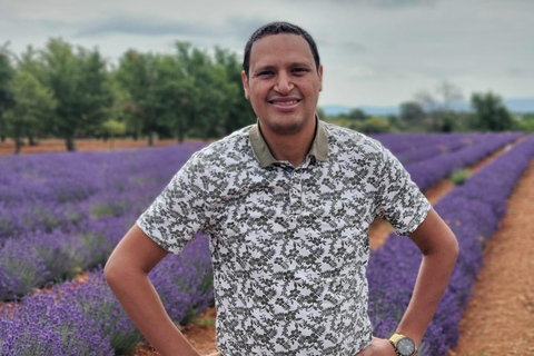 Visit the lavender fields, the Verdon Gorge, and Moustiers from Aix Visit the lavender fields, the Verdon Gorge and Moustiers from Aix