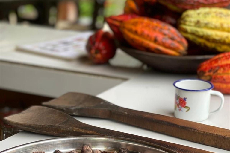 Medellín: Chocolate Farm Tour with Cocoa Exfoliation