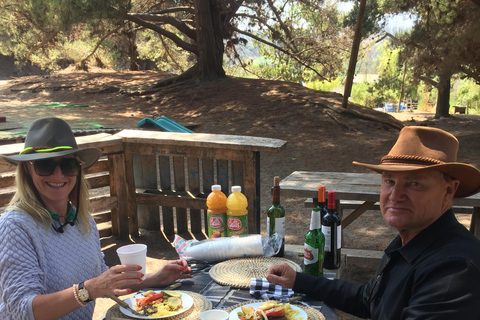 The Andes Mountain Private Chilean BBQ Class with Lunch