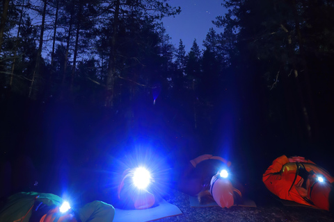 Helsinki: Light in the Dark Forest Experience Experience from Kerava