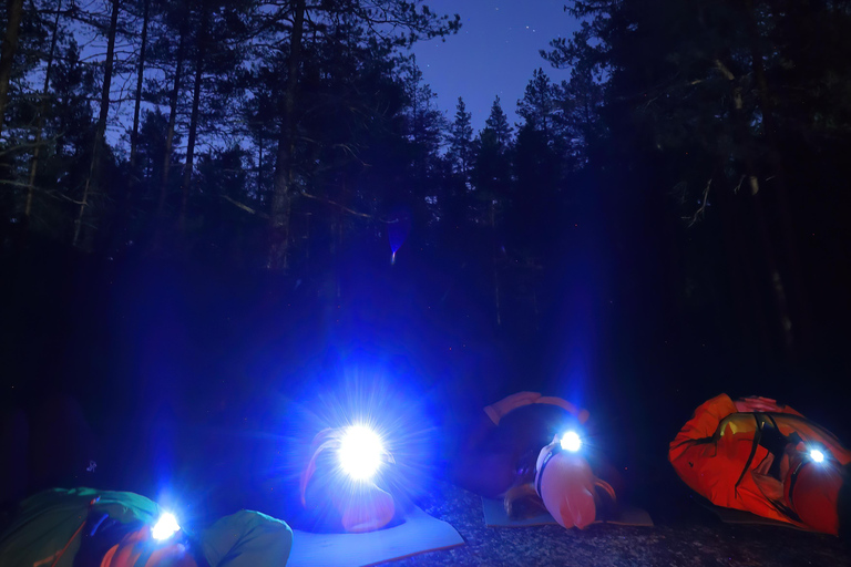 Helsinki: Light in the Dark Forest Experience Experience from Kerava