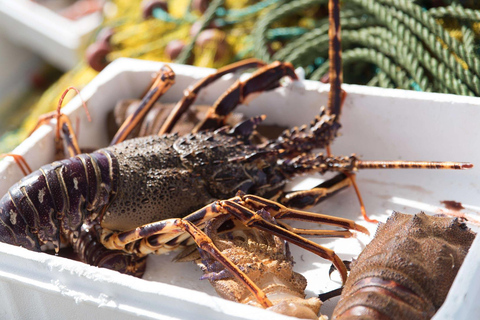 Zakynthos: Full-Day Traditional Eco-Fishing Tour with Food