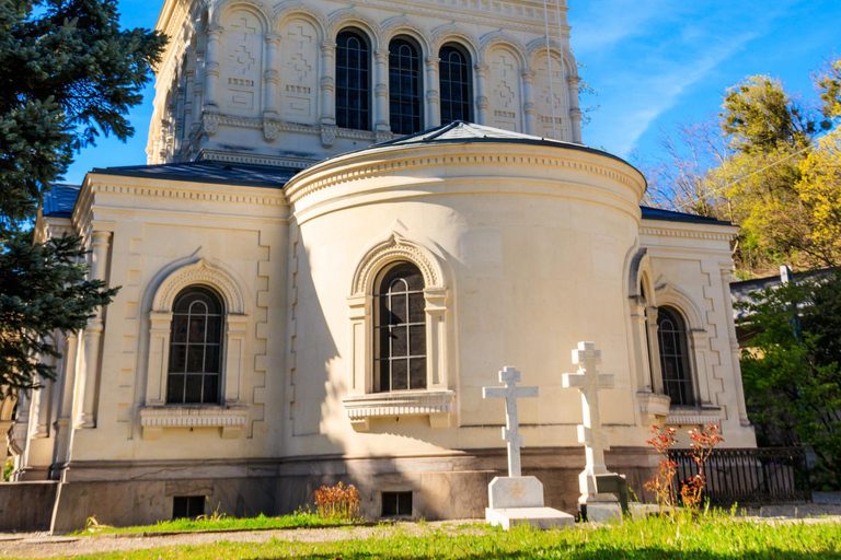 Excursion privée d&#039;une journée : Lausanne à Vevey, Montreux &amp; Château d&#039;Aigle