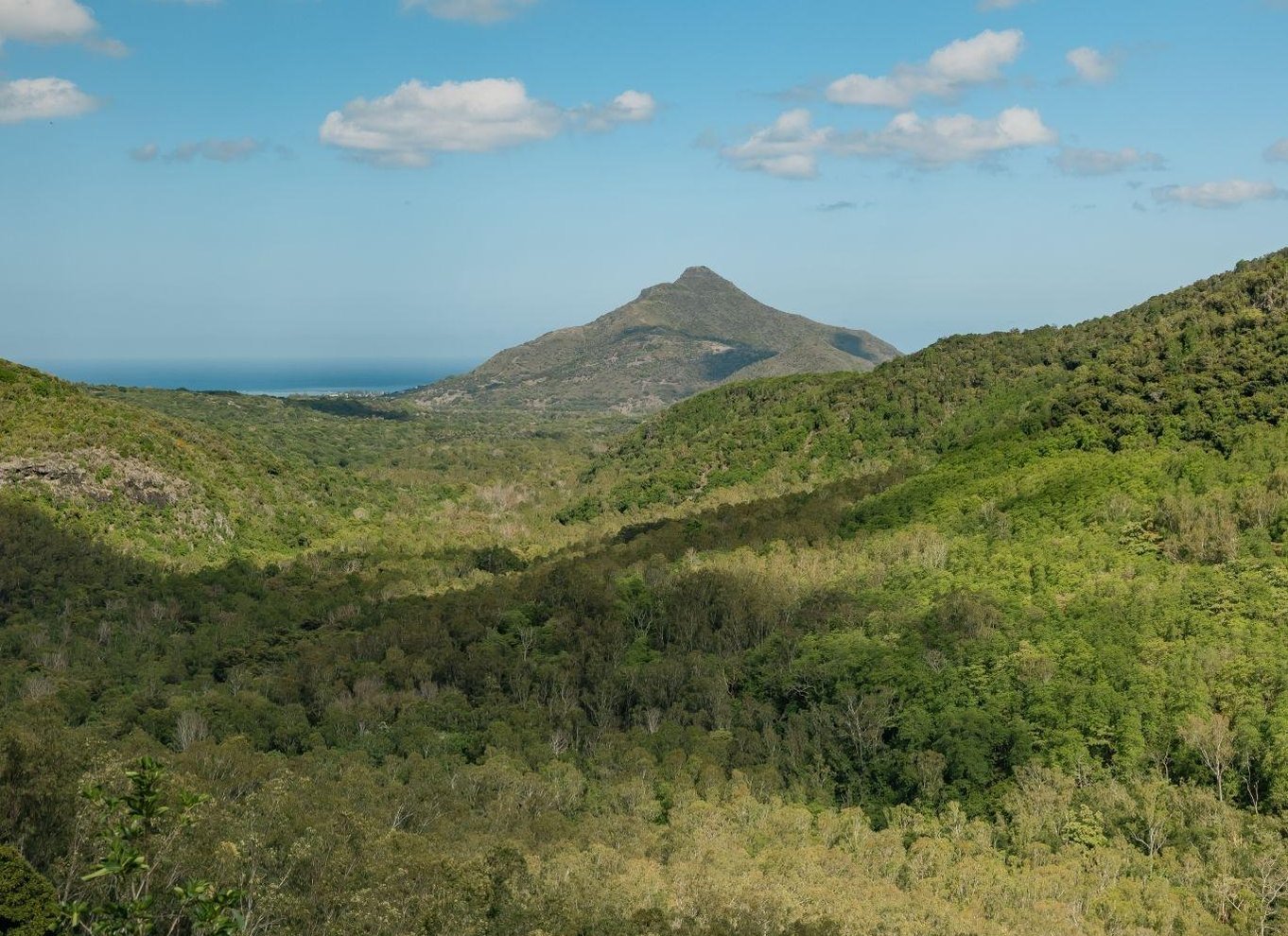 Mauritius: Black River Gorges National Park 3-timers vandretur
