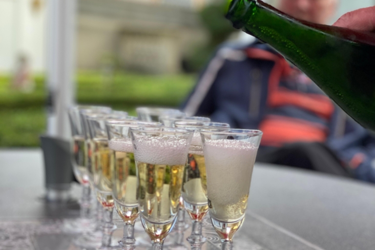 Au départ de Reims/Epernay : visite d'une demi-journée en Champagne (petit groupe)Excursion en van dans l'après-midi autour du champagne
