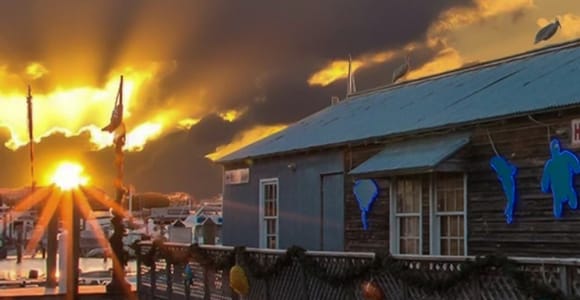 Key West: Hemingway&#39;s Life and Local Food Walking Tour