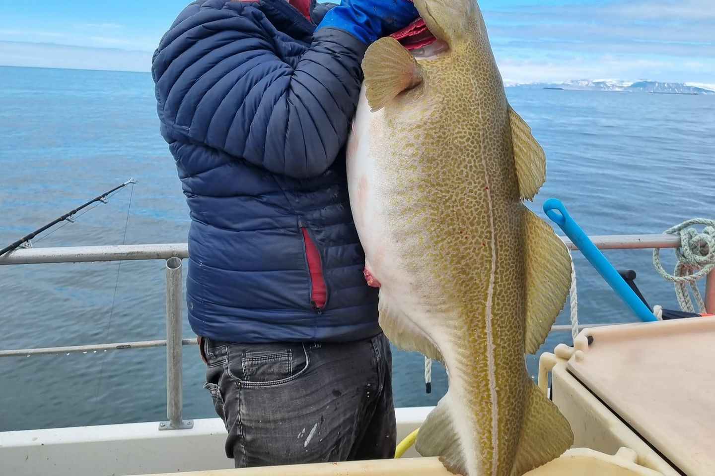 Stykkishólmur: Sea Angling Tour with Local Guide
