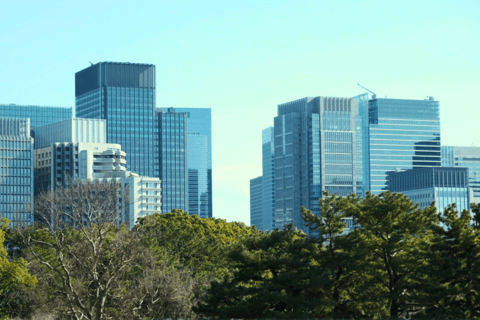 Tokio: Keizerlijk Paleis, de geschiedenis van Japan (FRENCH GUIDE)Tokio: Het Keizerlijk Paleis, de geschiedenis van Japan