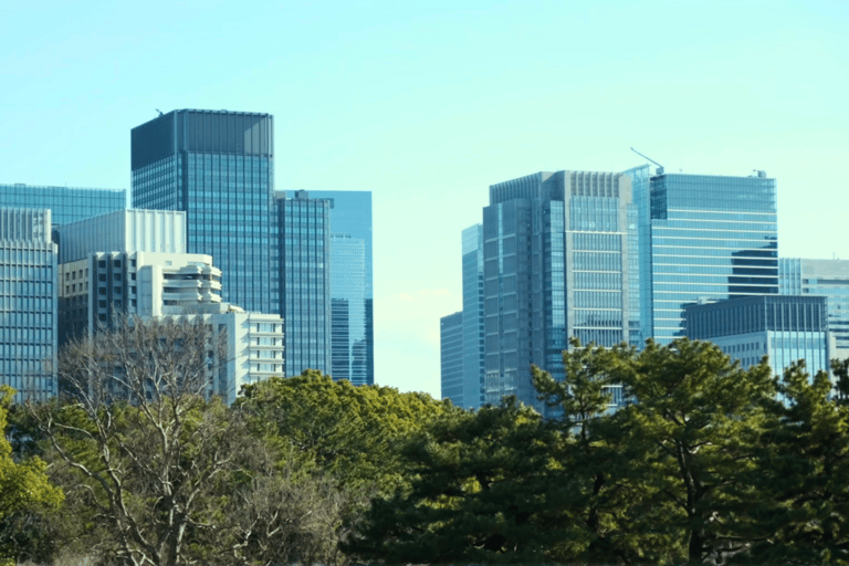 Tokio: Keizerlijk Paleis, de geschiedenis van Japan (FRENCH GUIDE)Tokio: Het Keizerlijk Paleis, de geschiedenis van Japan