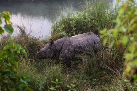 Toeristische bus van Kathmandu naar Chitwan