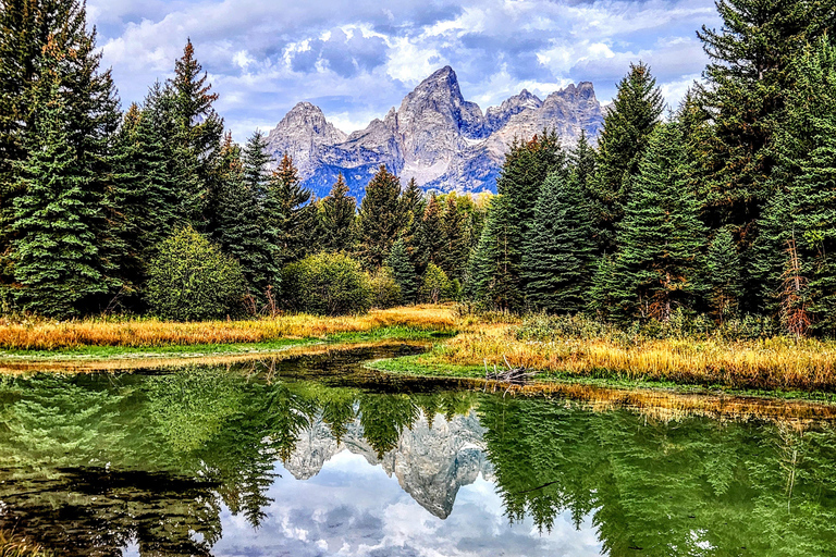 Jackson: Grand Teton & Yellowstone Private Van Tour