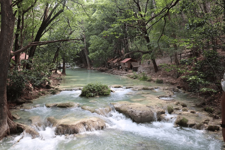 Palenque: avventura di rafting e percorso nella giungla