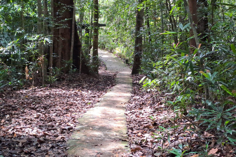 辛哈拉加雨林之旅
