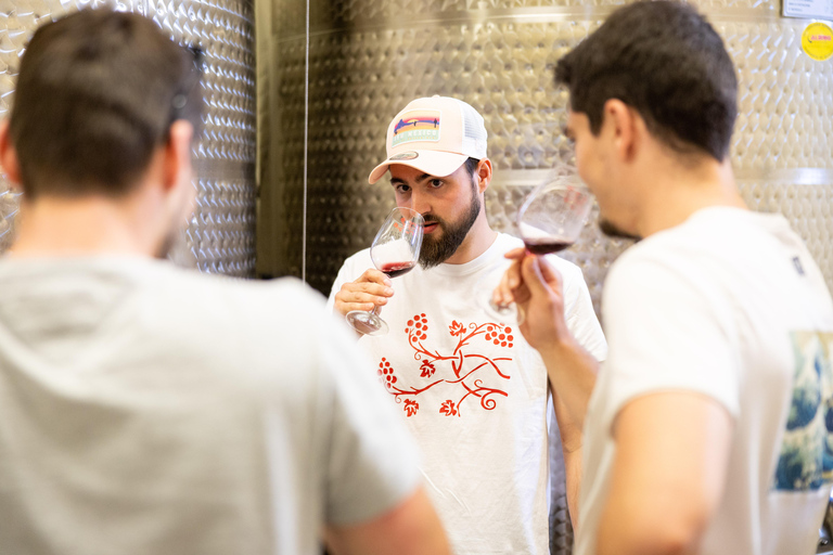 Chablis Clotilde Davenne visit and tasting in english Visite et dégustation Chablis en anglais