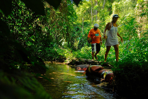 Aventure en Jeep à Paraty : sentier écologique, distillerie et baignade dans la rivièreAventure en Jeep à Paraty : parcours écologique, distillerie et baignade dans la rivièr