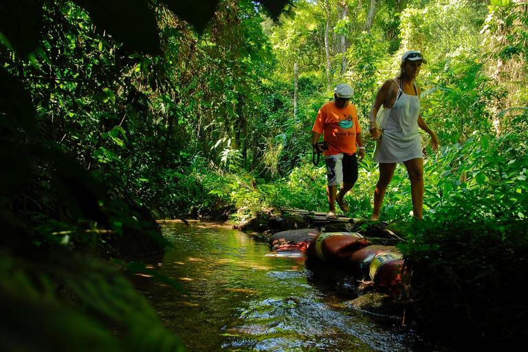 Aventure en Jeep à Paraty : sentier écologique, distillerie et baignade dans la rivièreAventure en Jeep à Paraty : parcours écologique, distillerie et baignade dans la rivièr