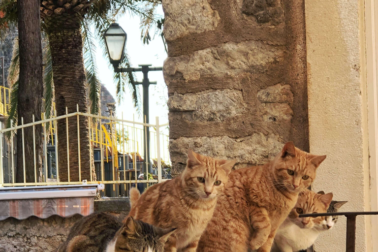 Budva: Bezaubernde Mediterranität